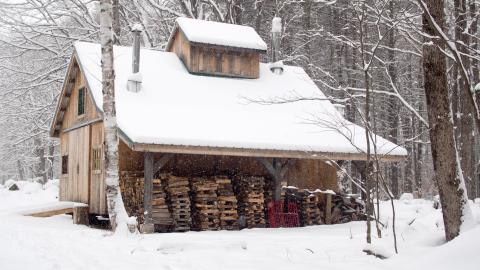 Wood storage barn in snowy forest